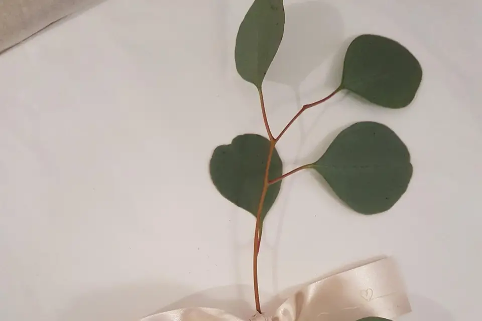 Guenaelle Choquet — photo 5