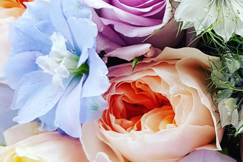 Riccifloralcreation — photo 6