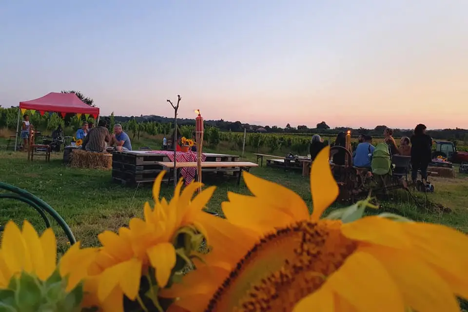 Emmenez Moi Trio Acoustique — photo 5