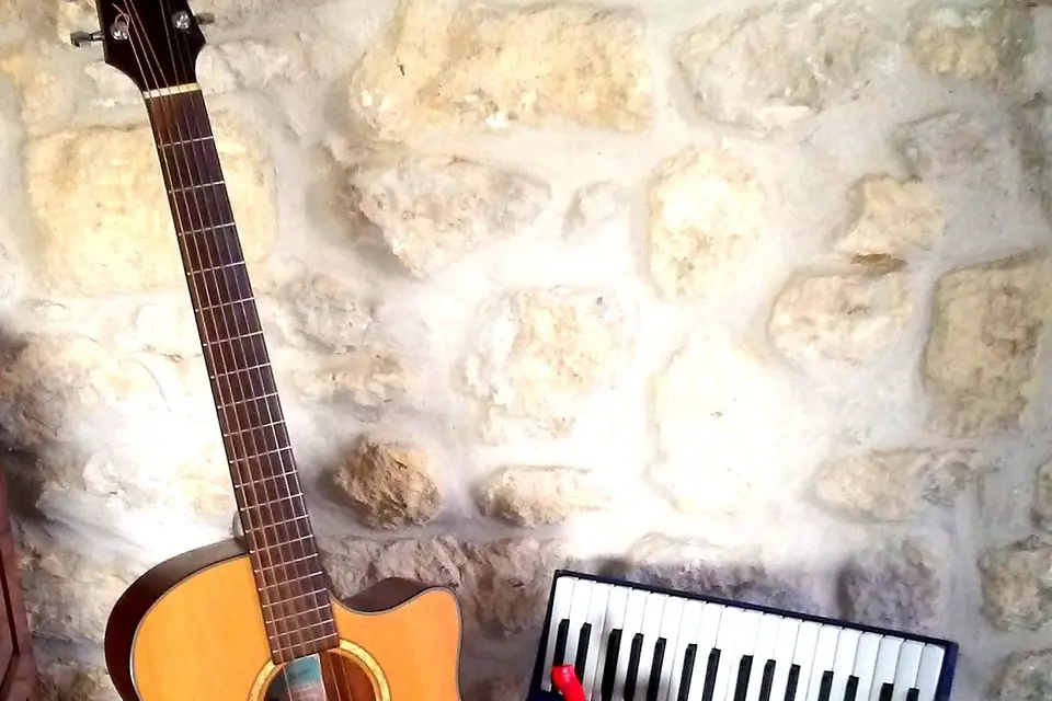 Emmenez Moi Trio Acoustique — photo 1