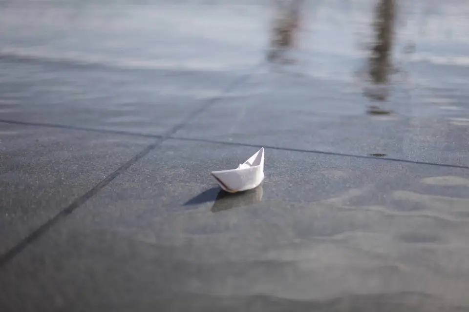 Alice Viale — photo 2