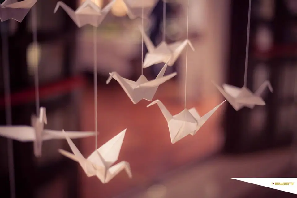 Alice Viale — photo 1