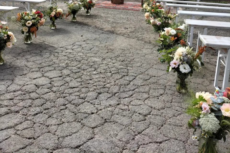 Les Fleurs du Grillon — photo 7