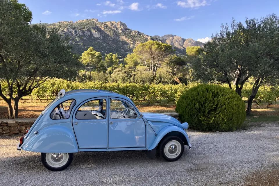 Halte Vintage Vaucluse — photo 5