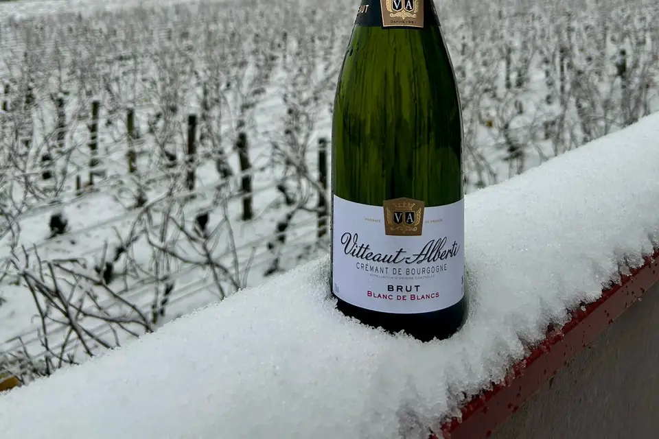 Vitteaut-Alberti — photo 6