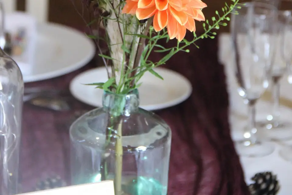 Les Pensées Sauvages — photo 7