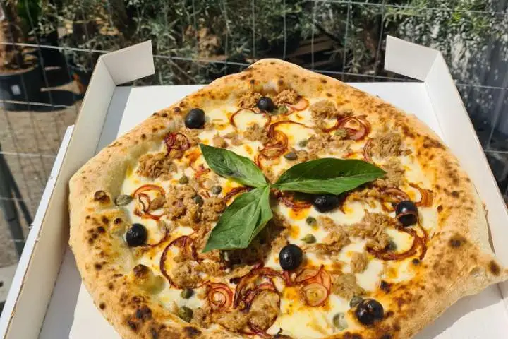 Noci Foodtruck — photo 6