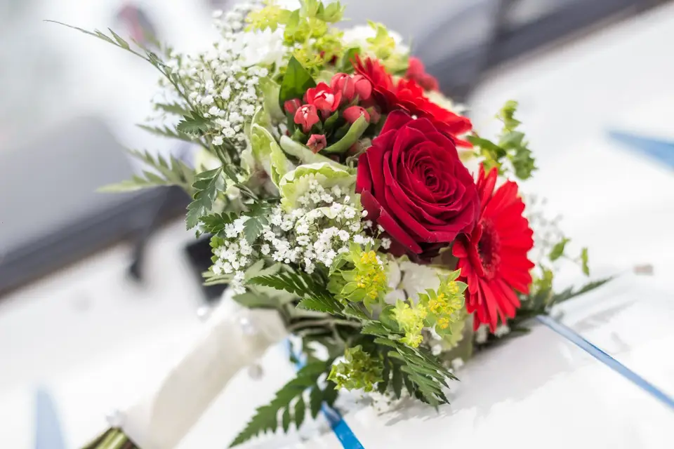 Arcis Loca'Son — photo 4