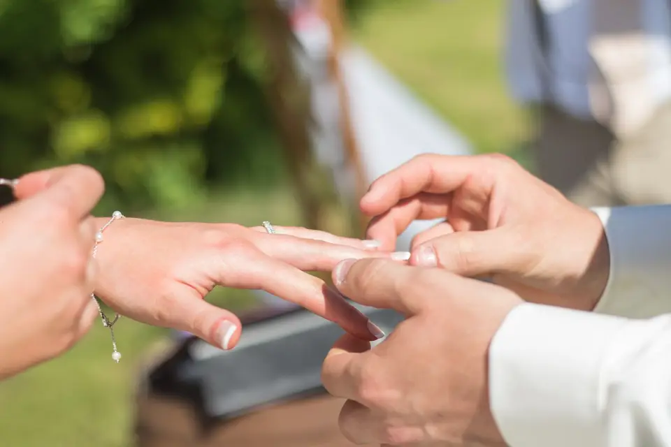 Arcis Loca'Son — photo 8