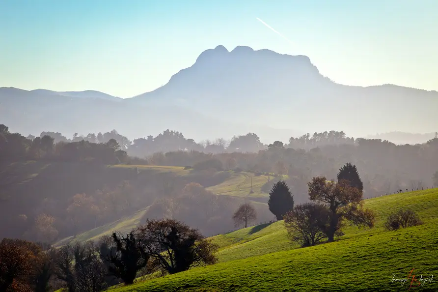 HemENgo bEgiAk — photo 2