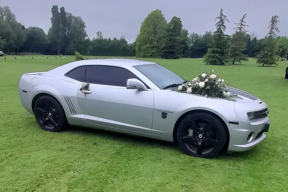 B & S Events — photo 2