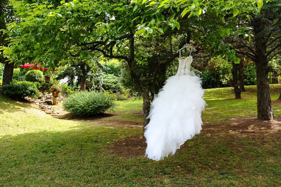 Robin Photograph’ — photo 4