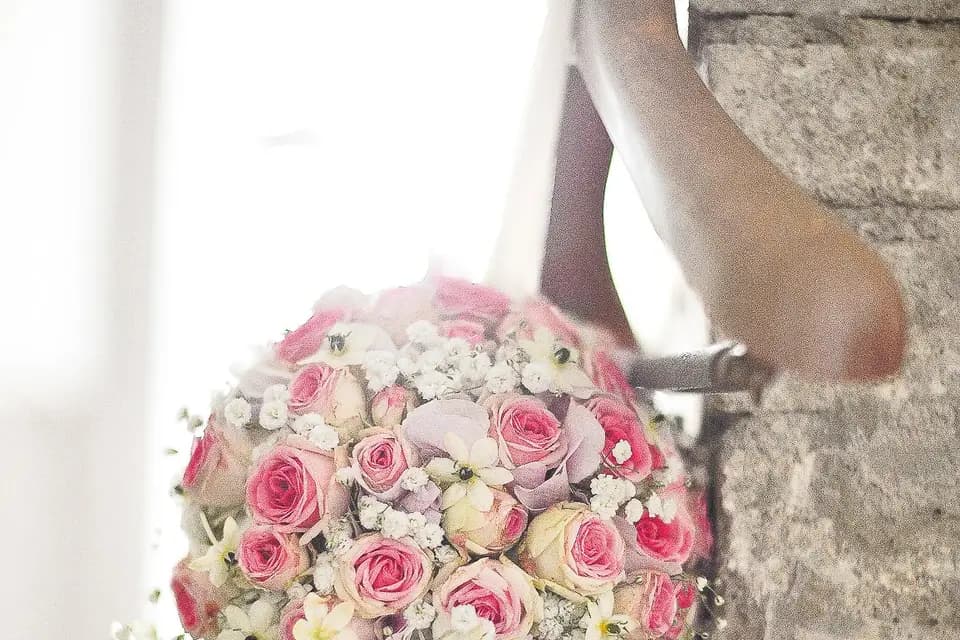 Robin Photograph’ — photo 7