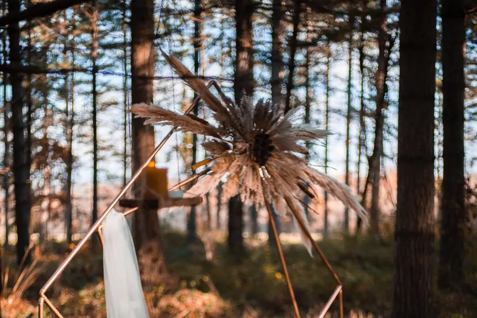 Flow Events — photo 3