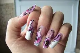 De l'ongle à la lumière — photo 7