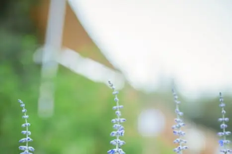 Mas Saint Joseph — photo 3