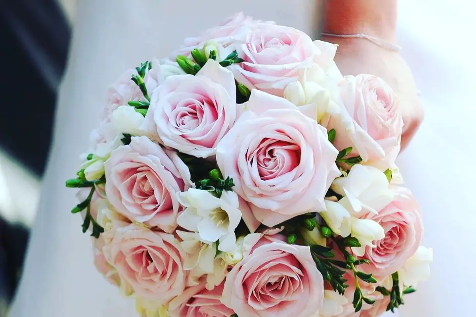 Les Fleurs d'Isis — photo 1