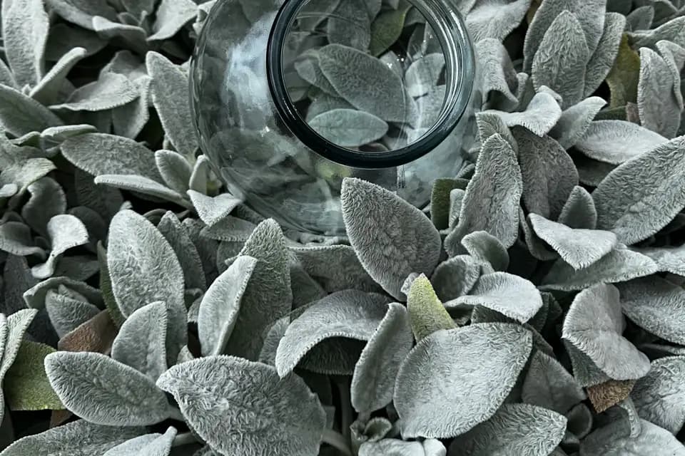 Save the Date — photo 5