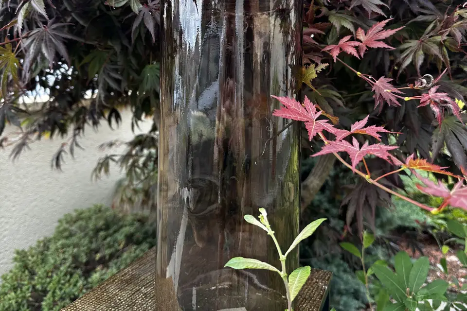 Save the Date — photo 6