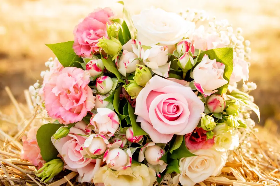 Aurore Lanz Photographe — photo 7