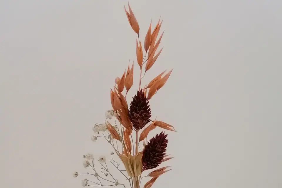 Les décos de B.E.N — photo 7