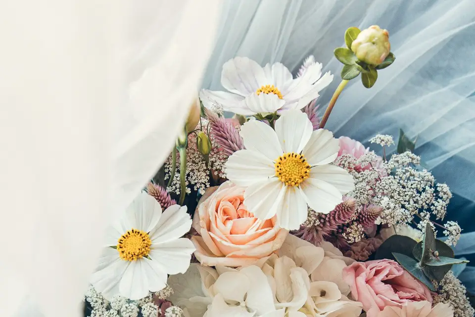 Marlys Photographie — photo 3