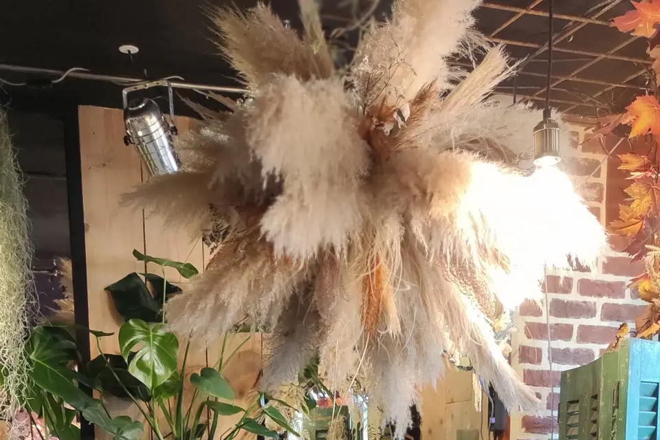 Fleur De Conception — photo 8