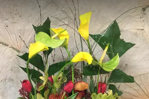 Alp'Flor — photo 5