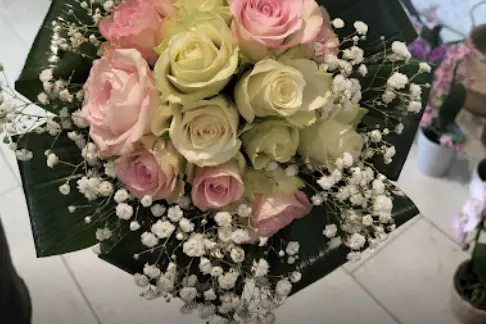 Alp'Flor — photo 7