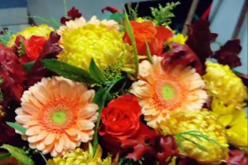 Alp'Flor — photo 6