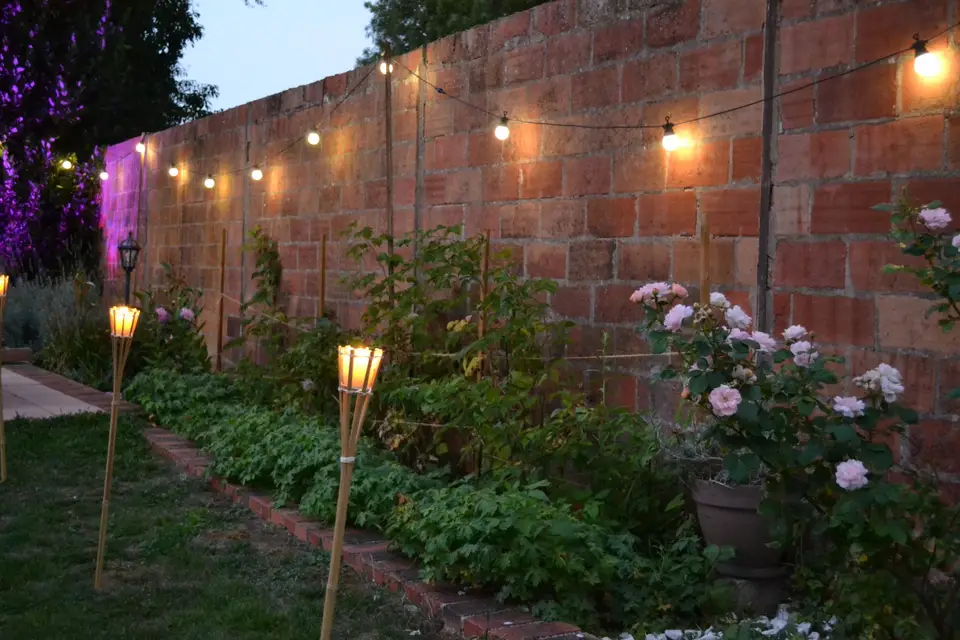 Le Petit Plus — photo 2