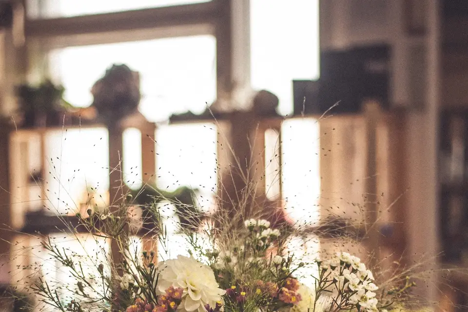 La Nature chez Vous — photo 3