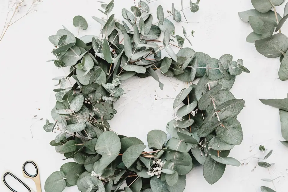 La Nature chez Vous — photo 6