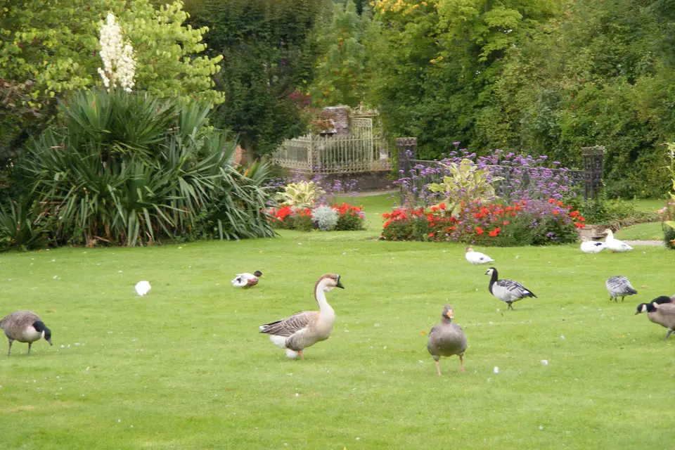 Château de Mesnières-en-Bray — photo 4