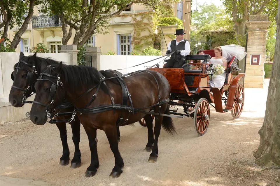 Association Attelage Salleloise — photo 1