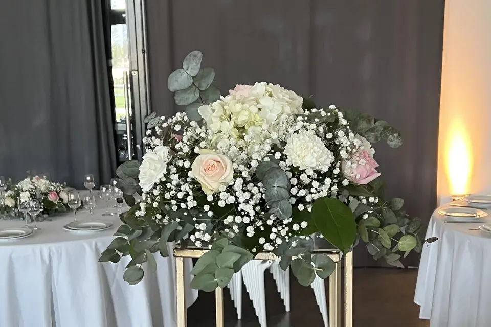 Cattleya — photo 8