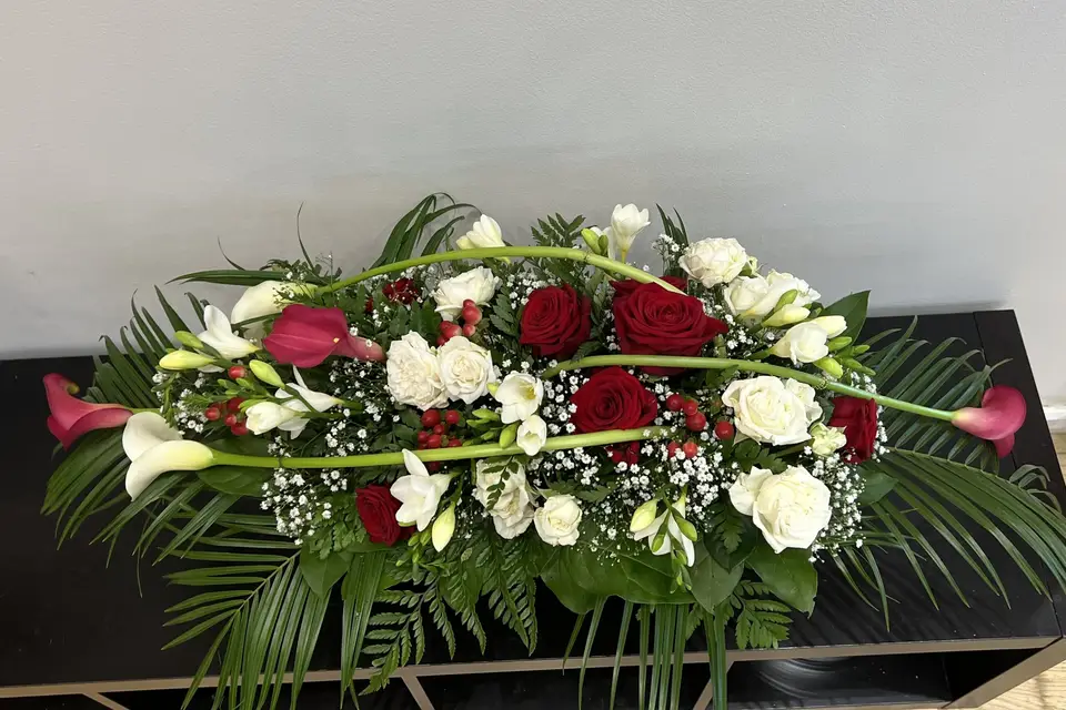 Cattleya — photo 4