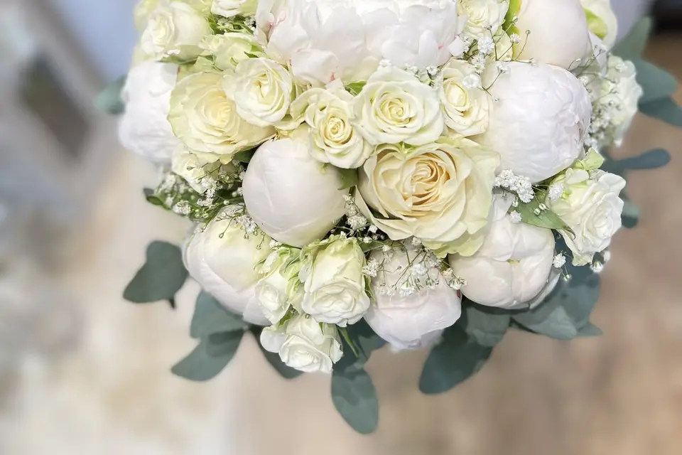 Cattleya — photo 1