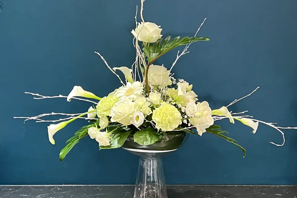 Cattleya — photo 3