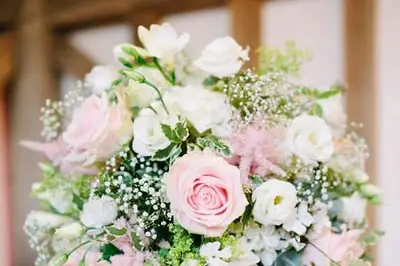 Cattleya — photo 7