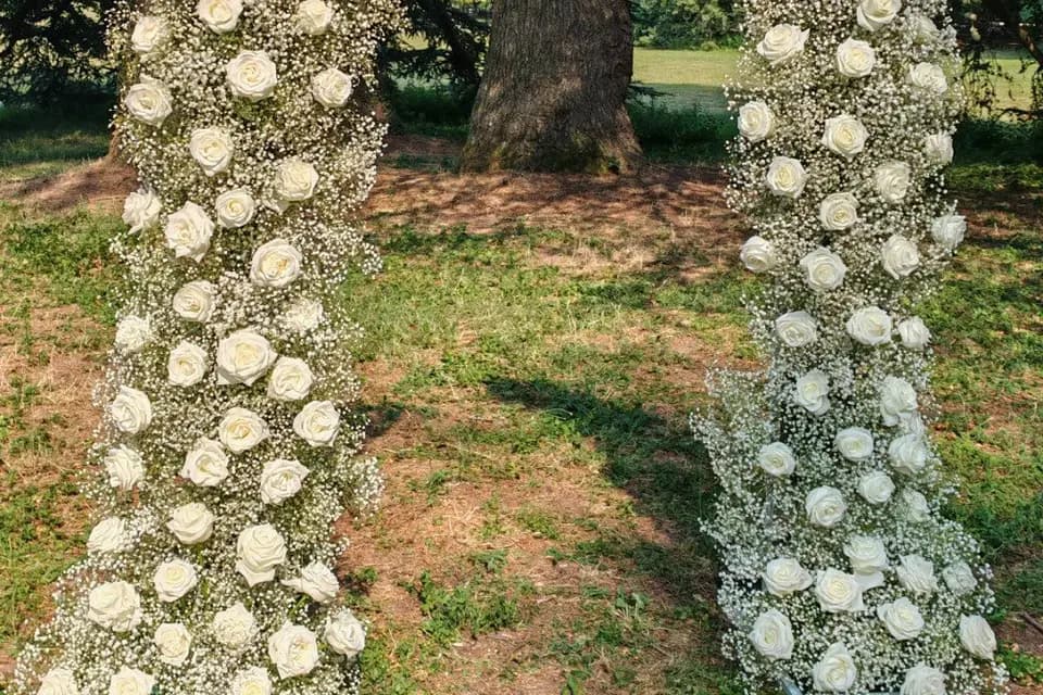 Maison Camélia — photo 1