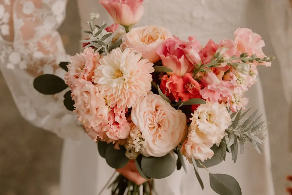 Maison Camélia — photo 6