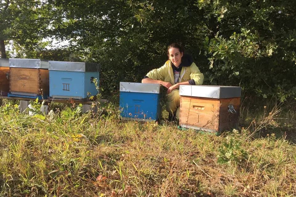 Les Belles Demois'Ailes — photo 3