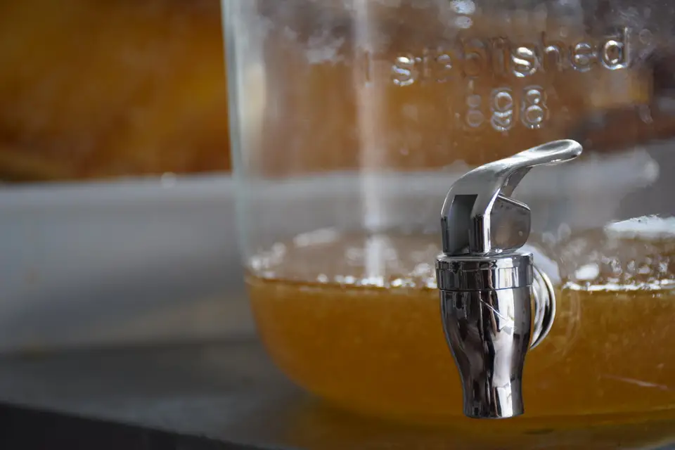 Les Belles Demois'Ailes — photo 5