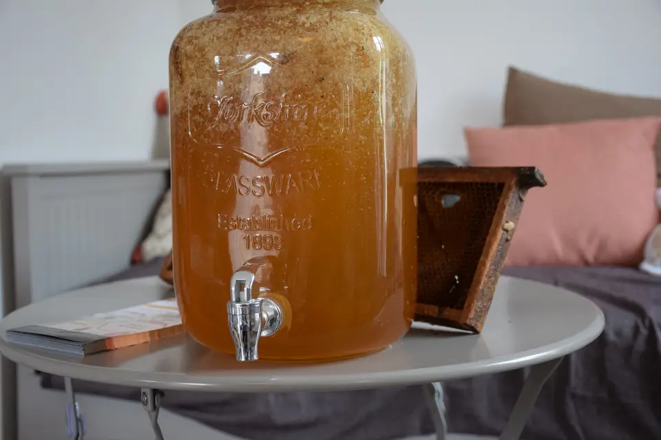 Les Belles Demois'Ailes — photo 6