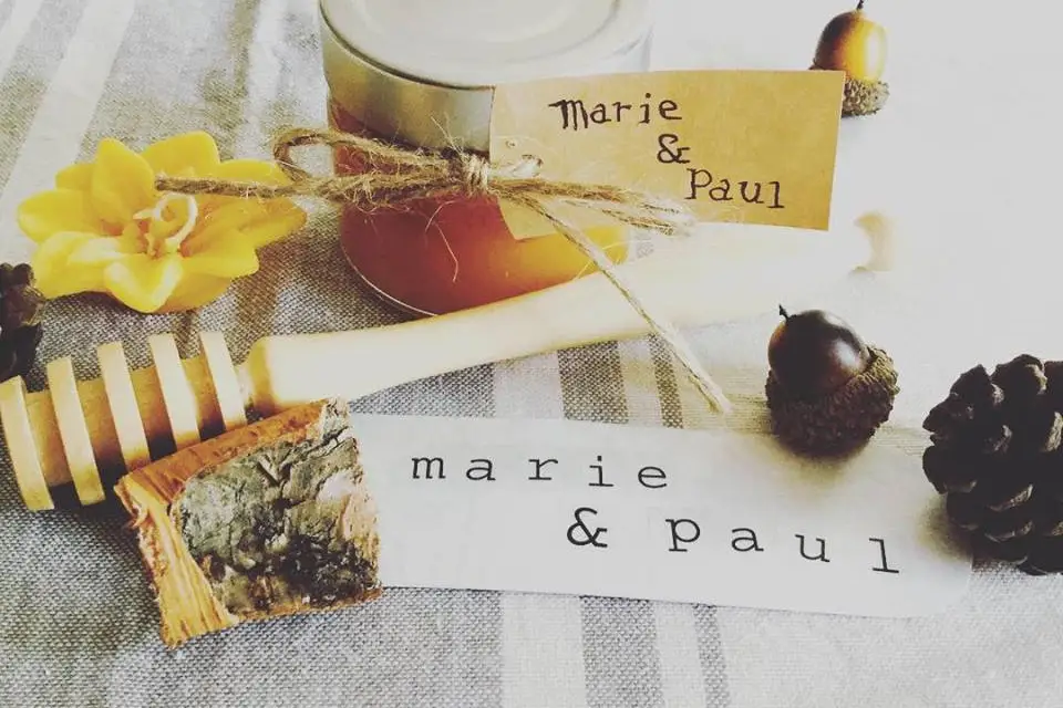 Les Belles Demois'Ailes