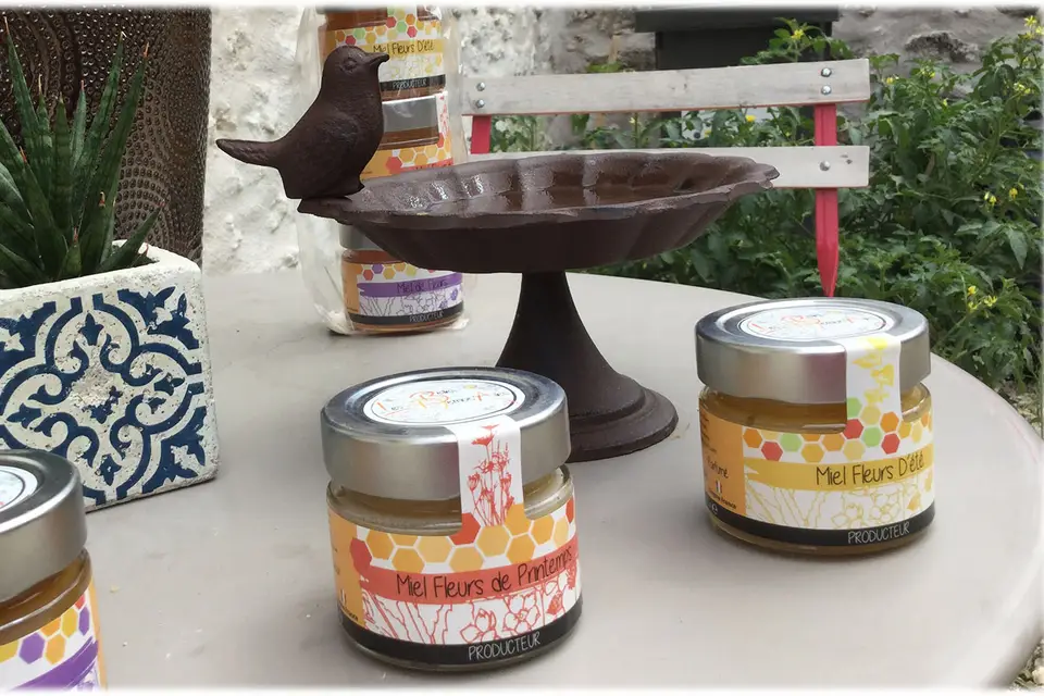 Les Belles Demois'Ailes — photo 8