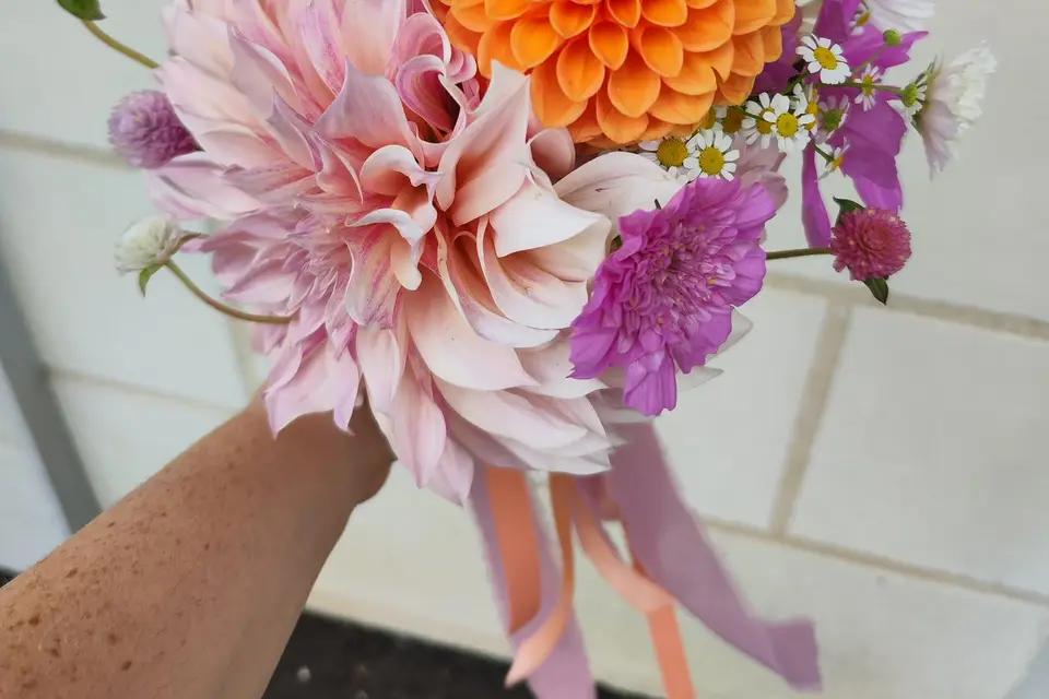 Au Jardin des 2 Clochers — photo 3