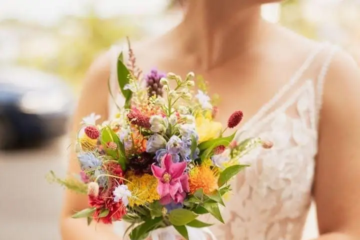 Au Jardin des 2 Clochers — photo 5