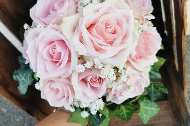 Au Jardin des 2 Clochers — photo 7